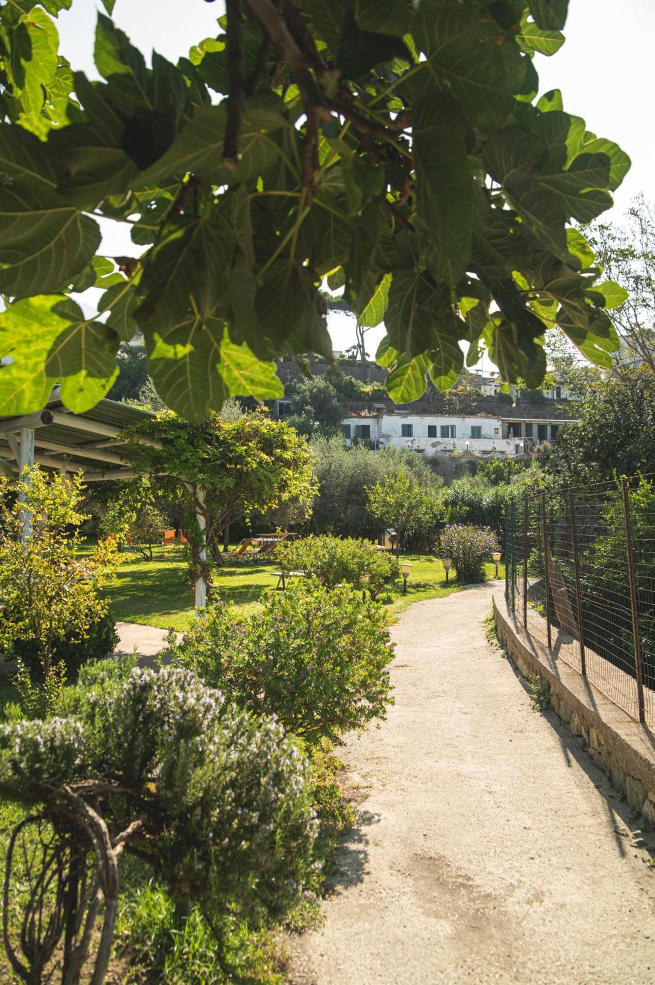 Hotel Park Victoria Forio di Ischia المظهر الخارجي الصورة