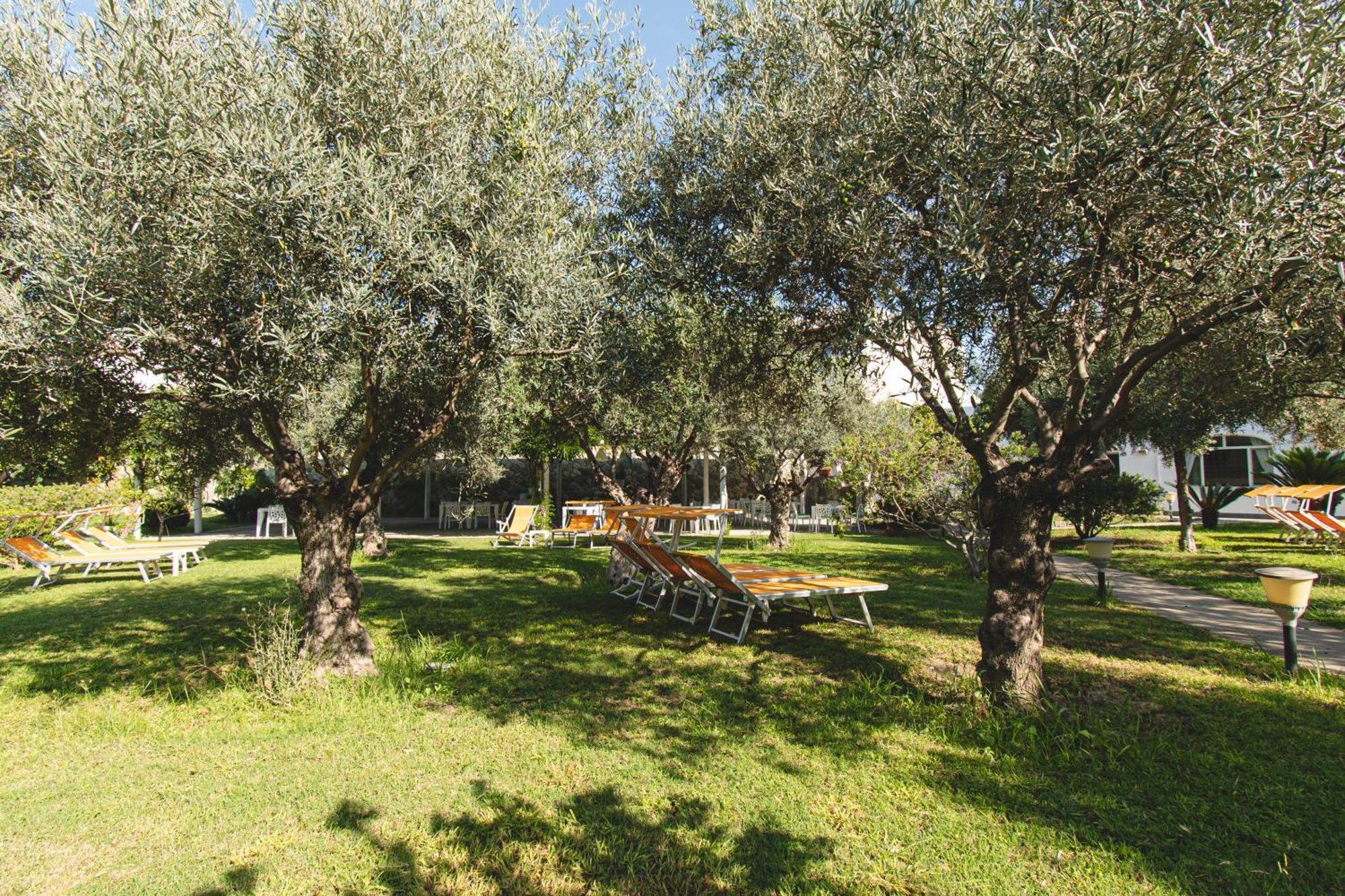 Hotel Park Victoria Forio di Ischia المظهر الخارجي الصورة